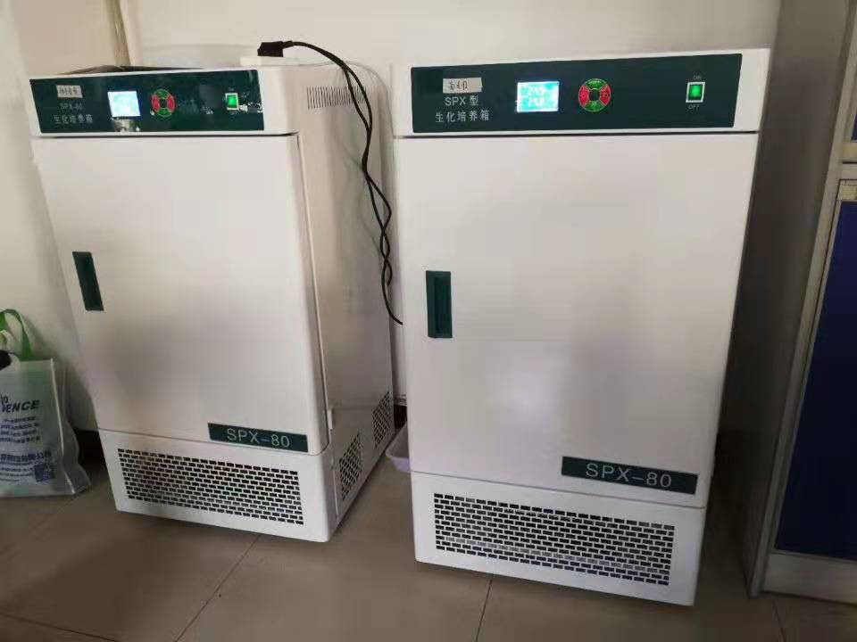 Incubator