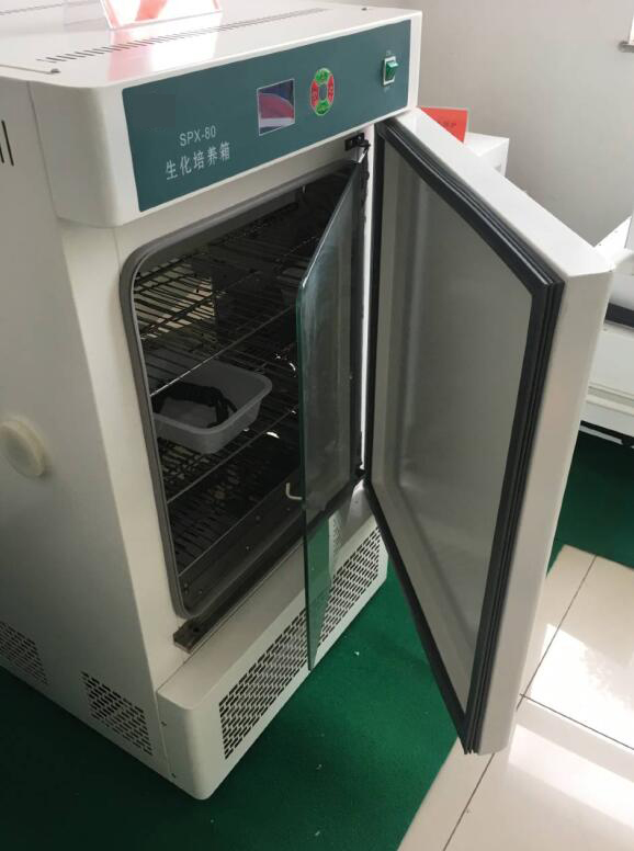 Laboratoire ibinyabuzima incubator